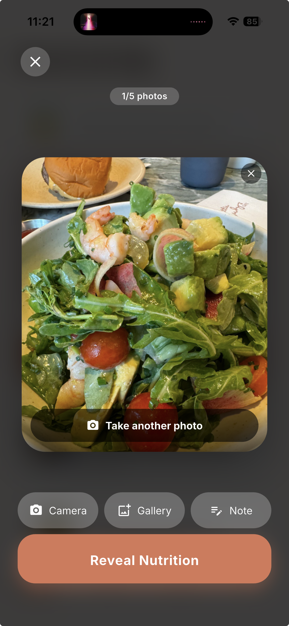 Photo of a meal ready to log.